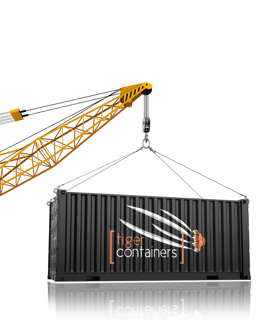 Container with crane 2