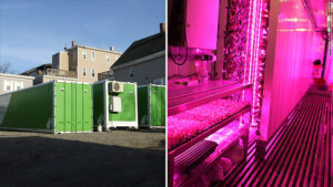 Read more about the article Shipping Container Farms Are The Latest Craze